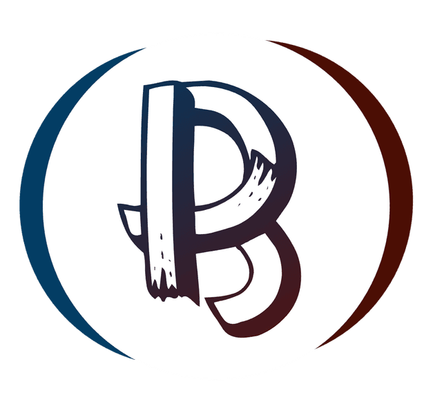 Bvidz Logo
